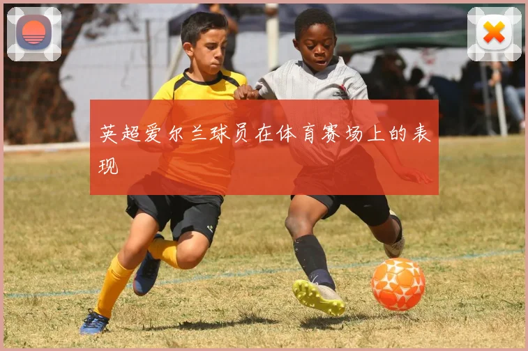 英超爱尔兰球员在体育赛场上的表现