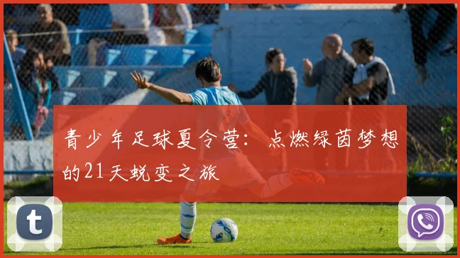 青少年足球夏令营：点燃绿茵梦想的21天蜕变之旅