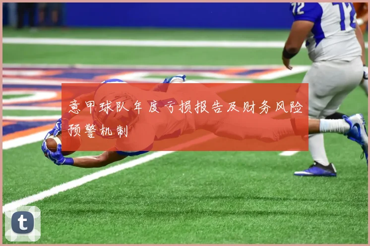 意甲球队年度亏损报告及财务风险预警机制
