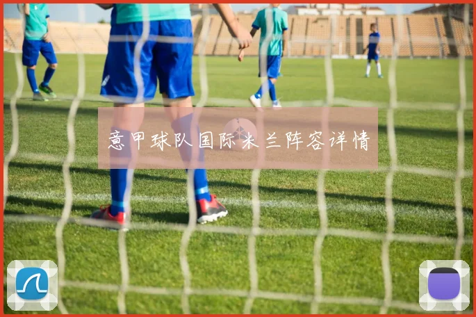意甲球队国际米兰阵容详情